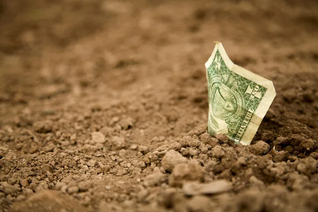 us-dollar, dollar, dollar bill, banknote, earth, basic, floor, field, buried, drought, grow, sapling, banking, basic, basic, basic, basic, buried, buried, buried, buried, buried. How GST and HST by Province Change the Canadian Price of a Trivia App